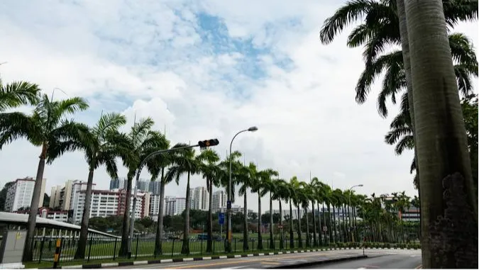 Woodlands